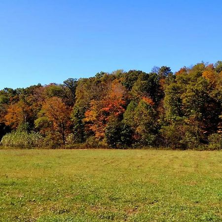 Altenbrauch Farm - Camping In The Hocking Hills Hotel Stella Bagian luar foto