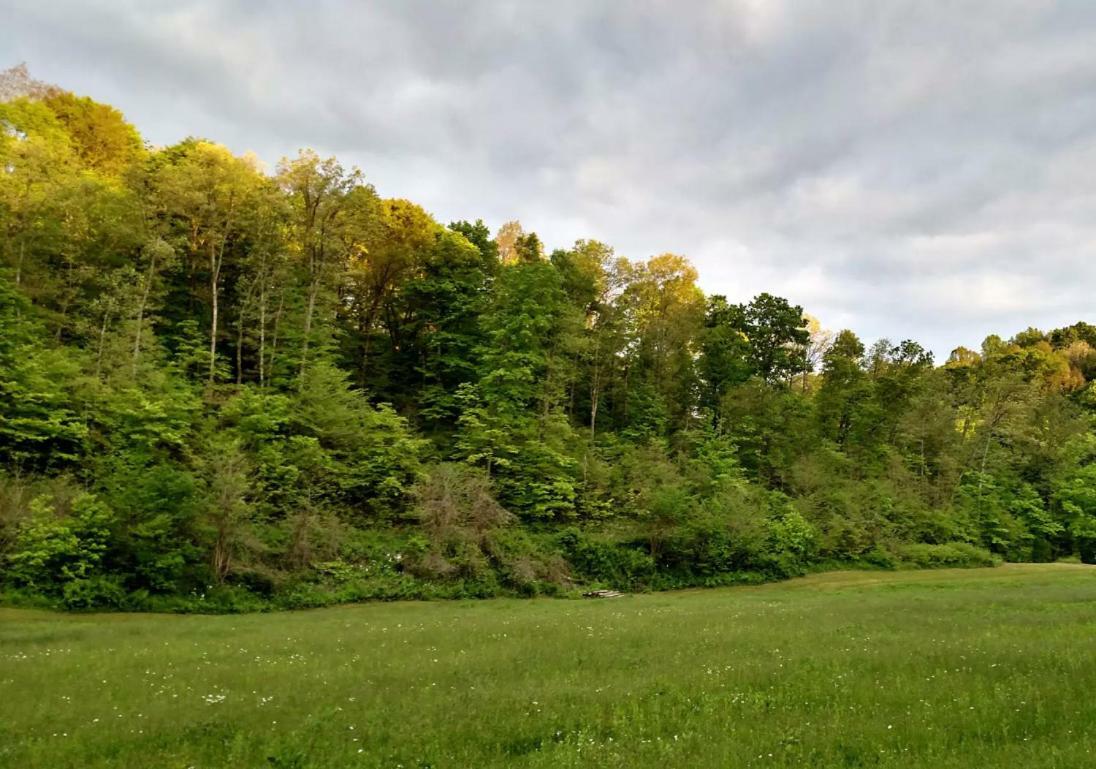 Altenbrauch Farm - Camping In The Hocking Hills Hotel Stella Bagian luar foto