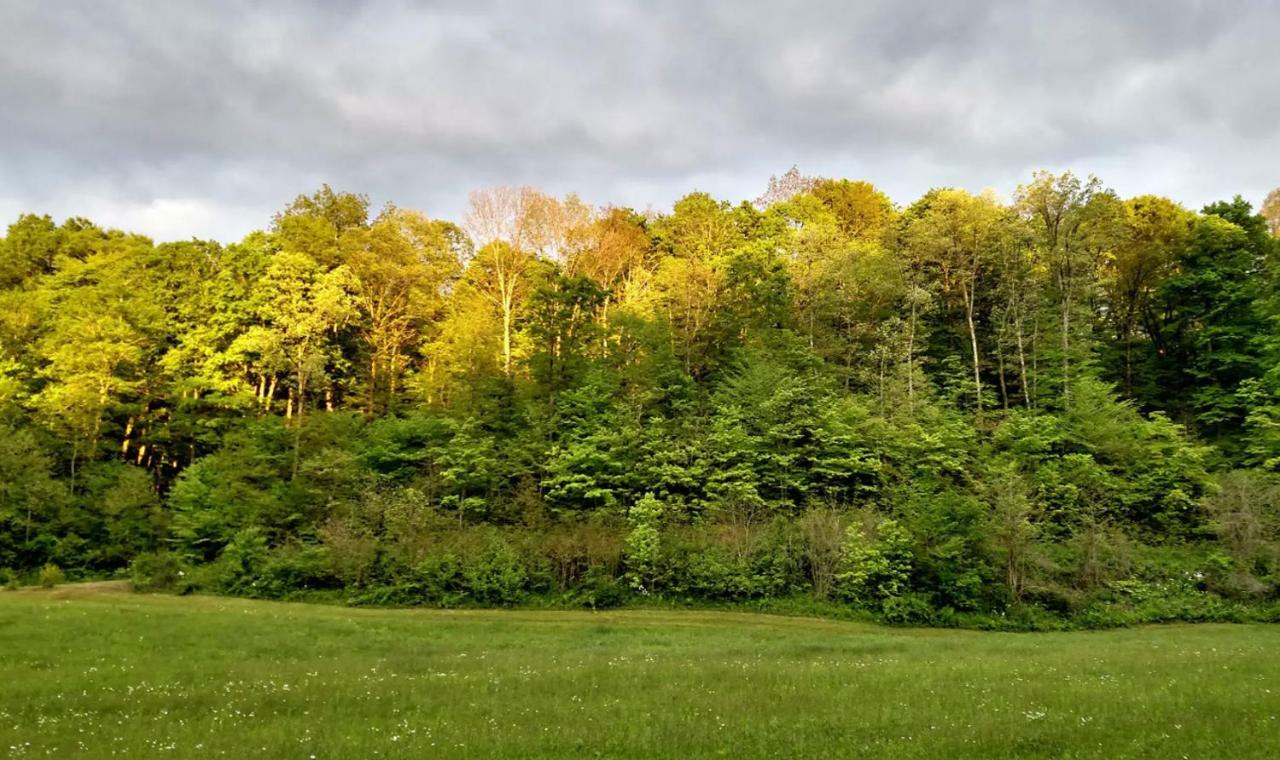 Altenbrauch Farm - Camping In The Hocking Hills Hotel Stella Bagian luar foto